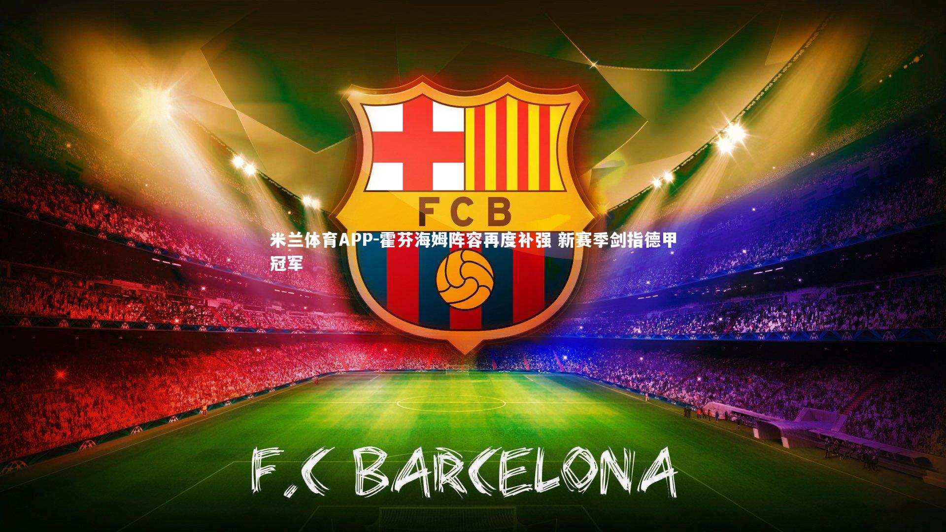 霍芬海姆阵容再度补强 新赛季剑指德甲冠军