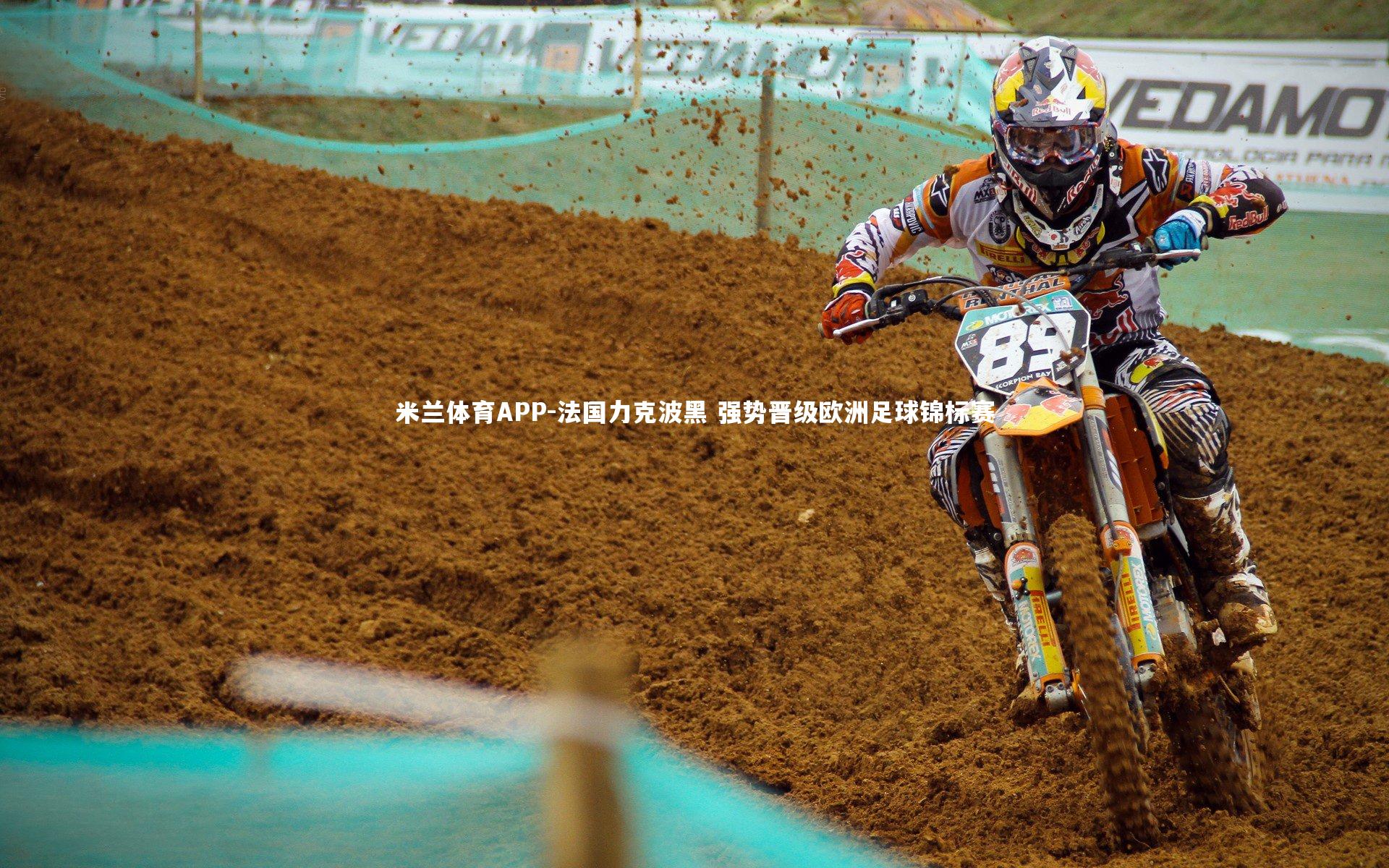 法国力克波黑 强势晋级欧洲足球锦标赛